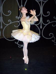 Erin Ginn appeared as the Fairy of the Songbirds in the Connecticut Ballet's 'The Sleeping Beauty.'