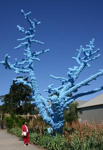 Canadian artist Claude Cormier gives new life to a dying tree by covering it with thousands of blue, plastic Christmas balls. This is a unique example of outdoor art which can be found in California.