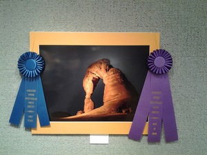 Best of Show Winner--  "Delicate Arch" by Mark Roberts
