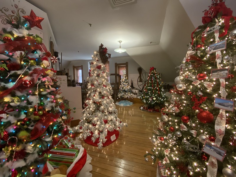 Decorated trees fill the museum.