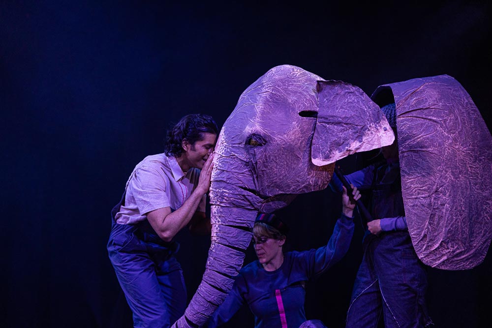 'The Vanishing Elephant' is on stage.