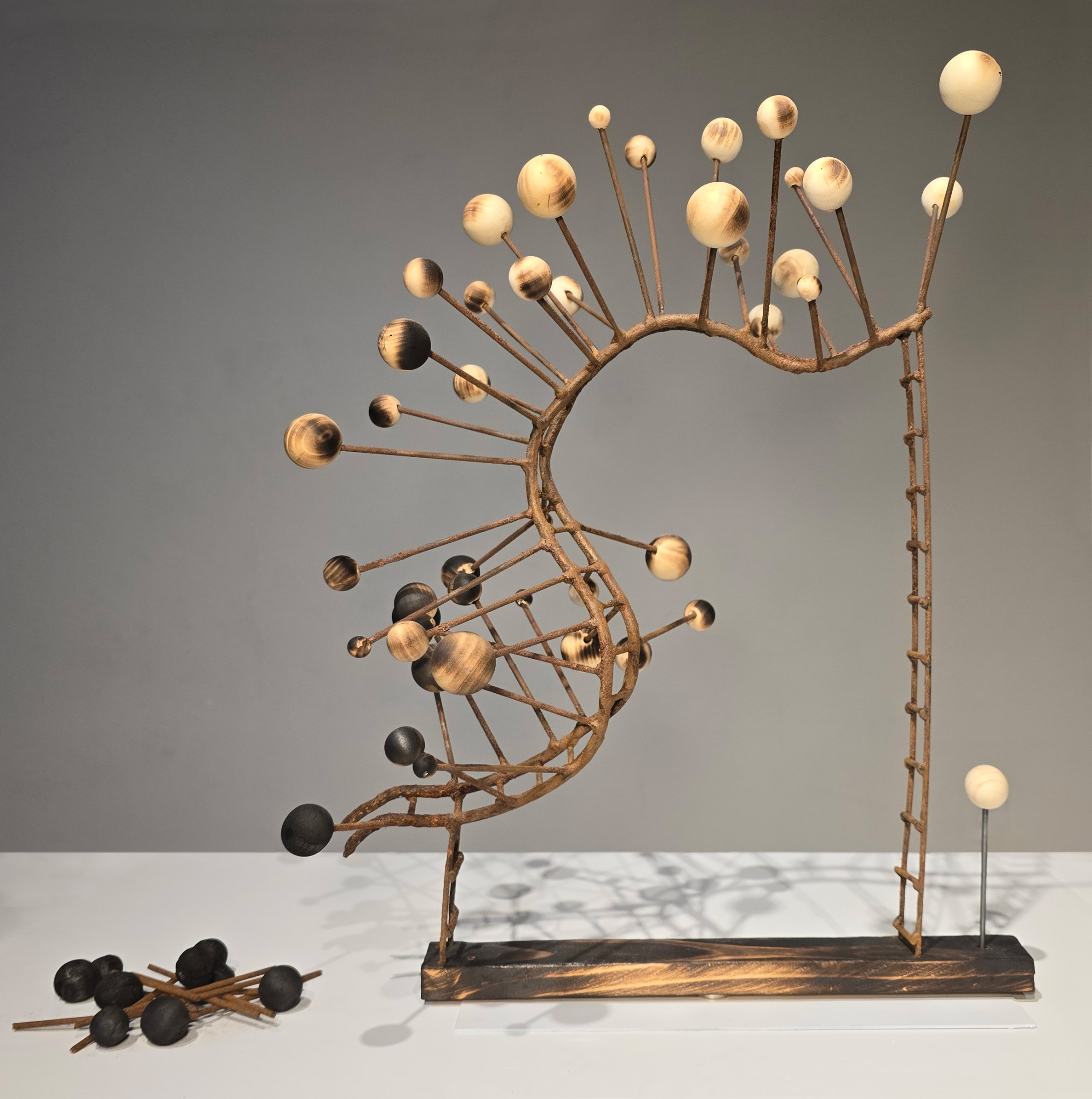 'Along for the ride" by Chelsea Moulder